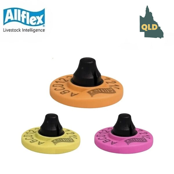 QLD REBATE