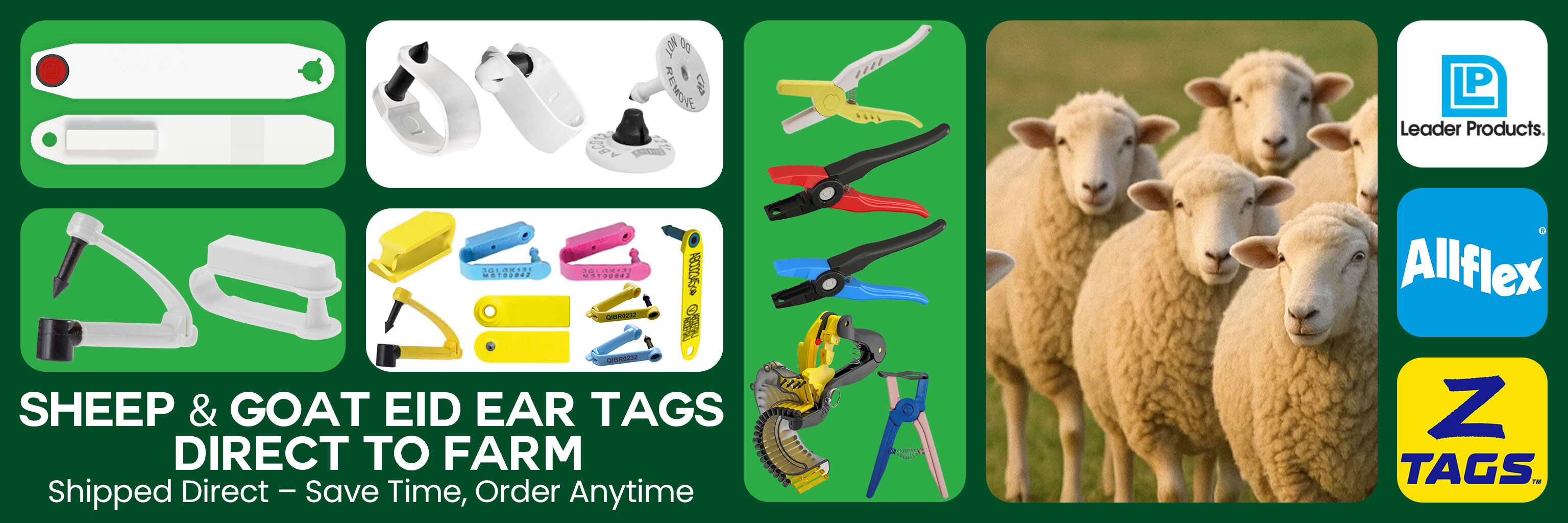Sheep Ear Tags New Banner 08/09/25